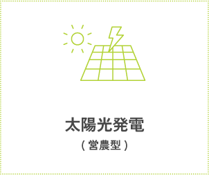 太陽光発電(営農型)