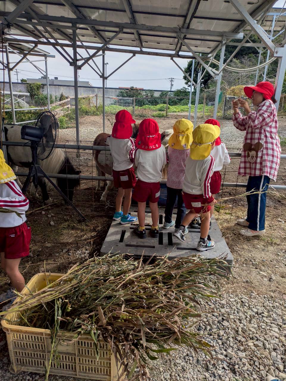 東峰ファームへようこそ🐴💕